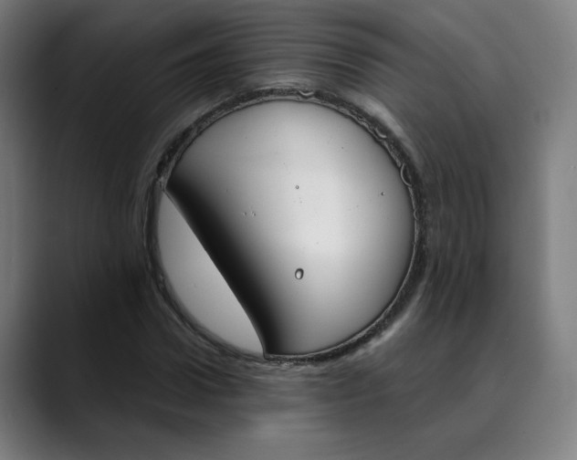 X0000089830922200707121638