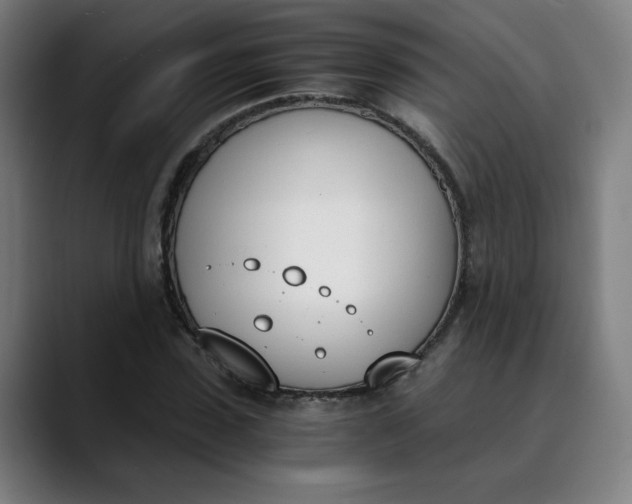 X0000089830923200707121638