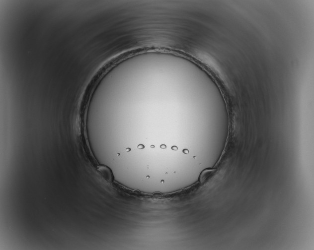 X0000089830924200707121638