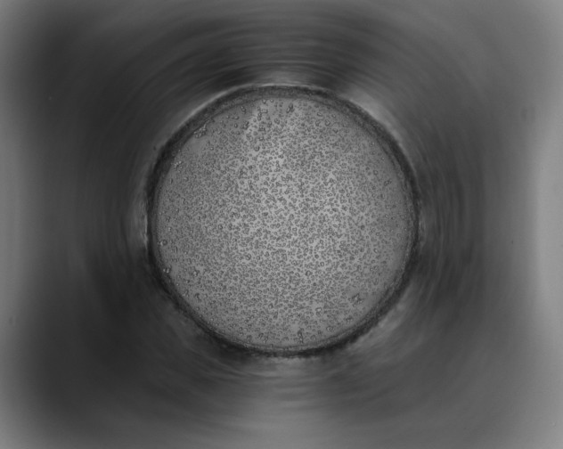 X0000089830925200707121638