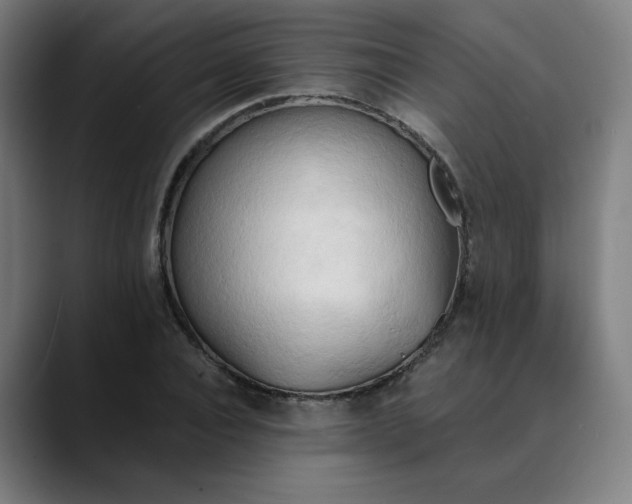 X0000089830928200707121638