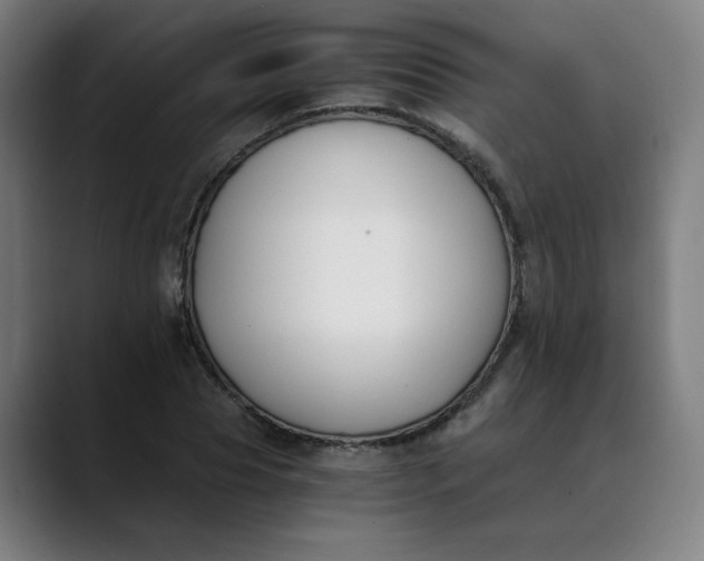 X0000089830929200707121638