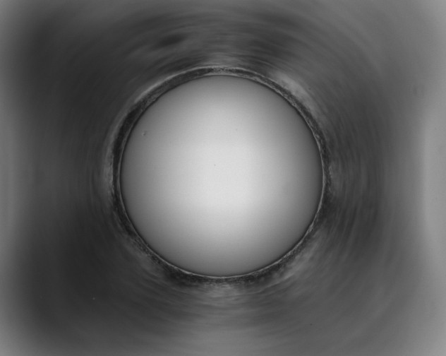 X0000089830931200707121638