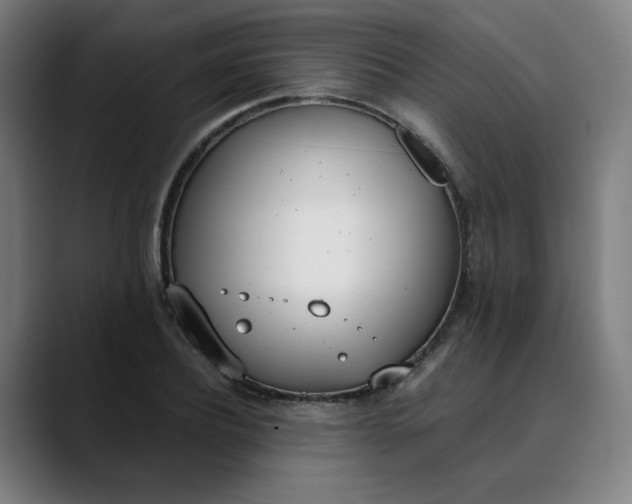 X0000089830932200707121638