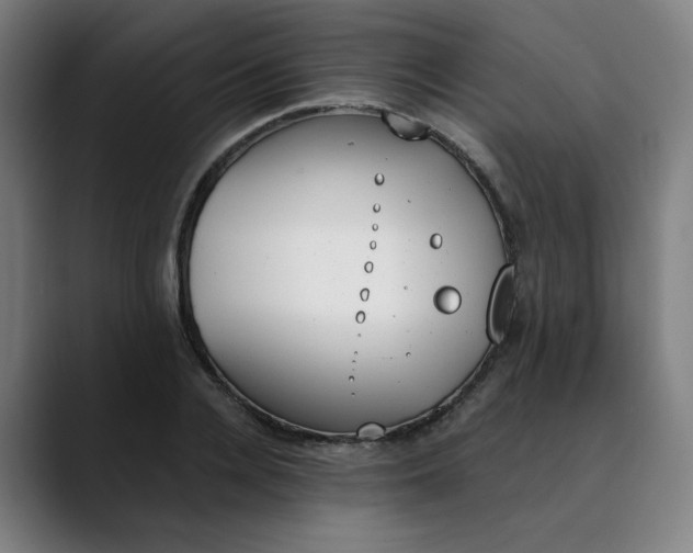 X0000089830936200707121638