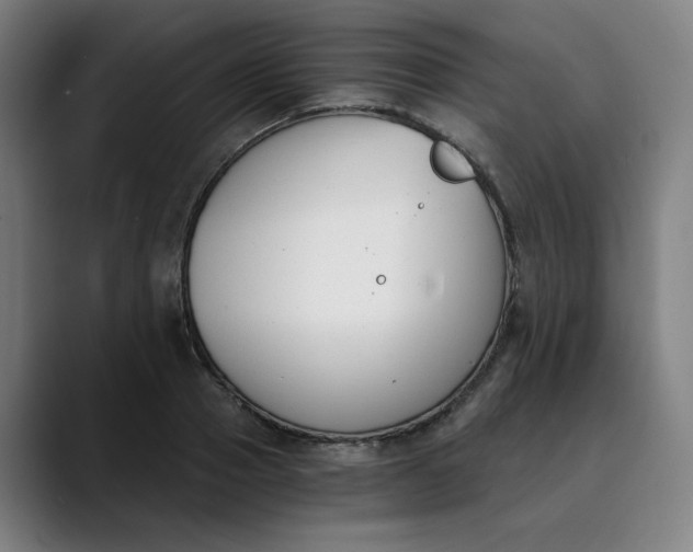 X0000089830937200707121638