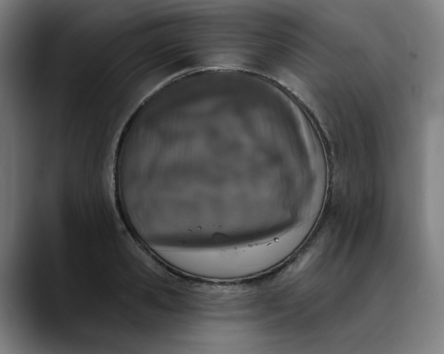 X0000089830941200707121638