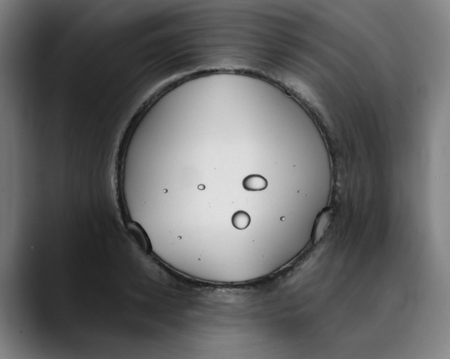 X0000089830942200707121638