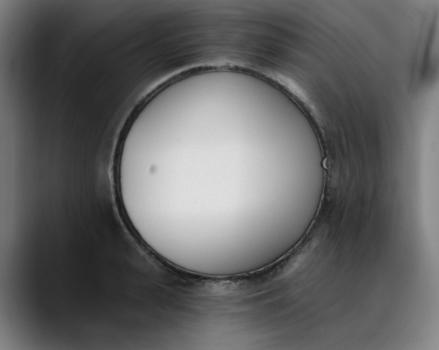 X0000089830943200707121638