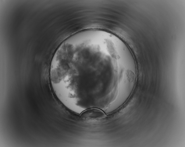 X0000089830945200707121638