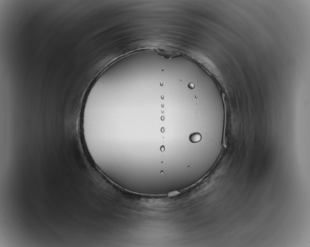 X0000089830946200707121638