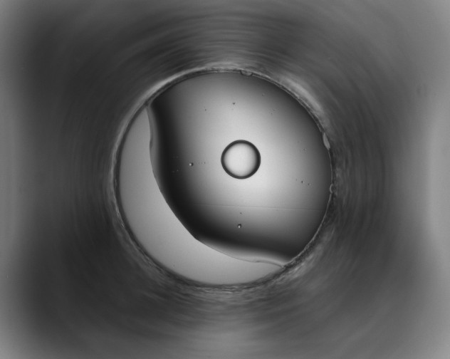 X0000089830948200707121638