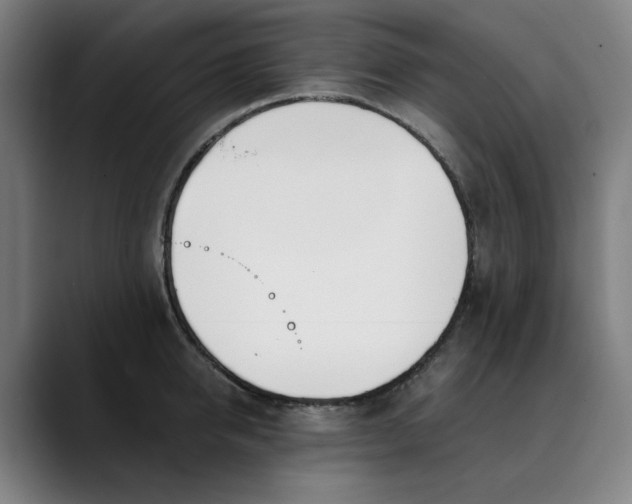 X0000089830950200707121638