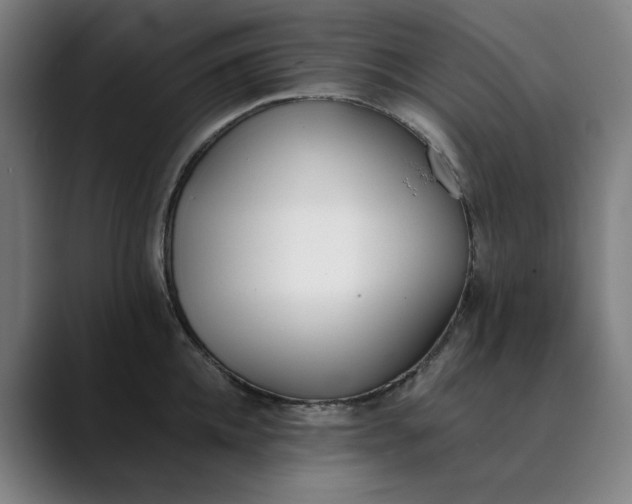 X0000089830952200707121638