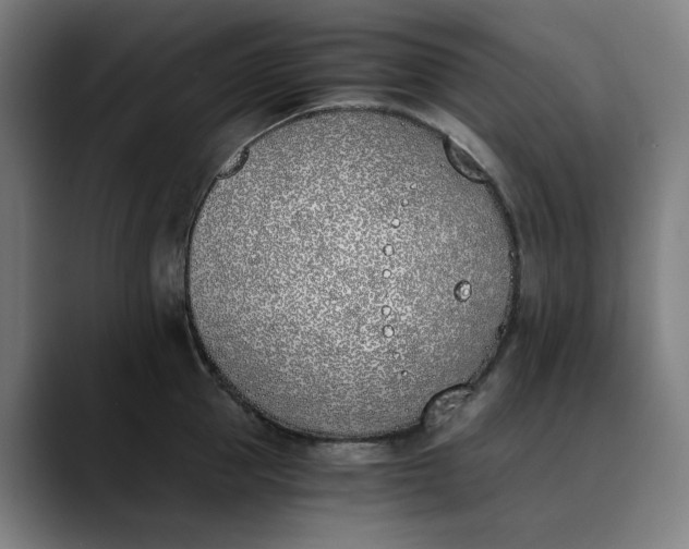 X0000089830953200707121638