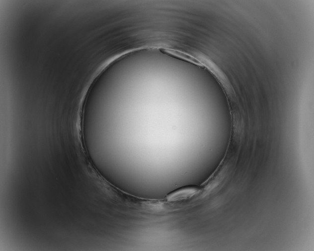 X0000089830956200707121638