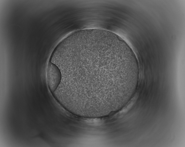 X0000089830957200707121638