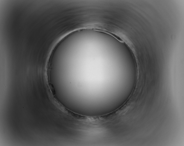 X0000089830960200707121638