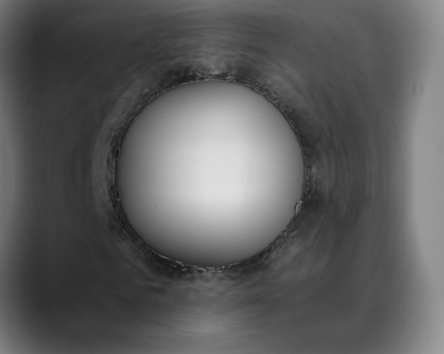 X0000089830961200707121638