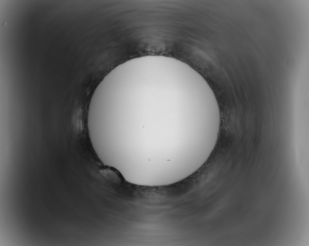 X0000089830962200707121638