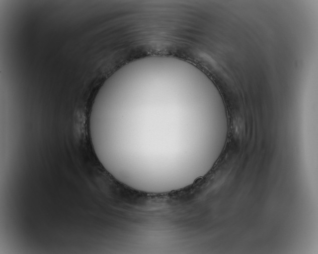 X0000089830964200707121638