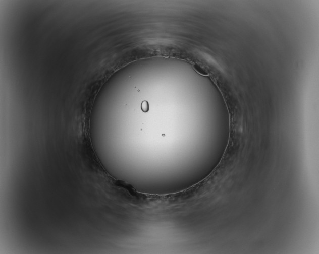 X0000089830965200707121638