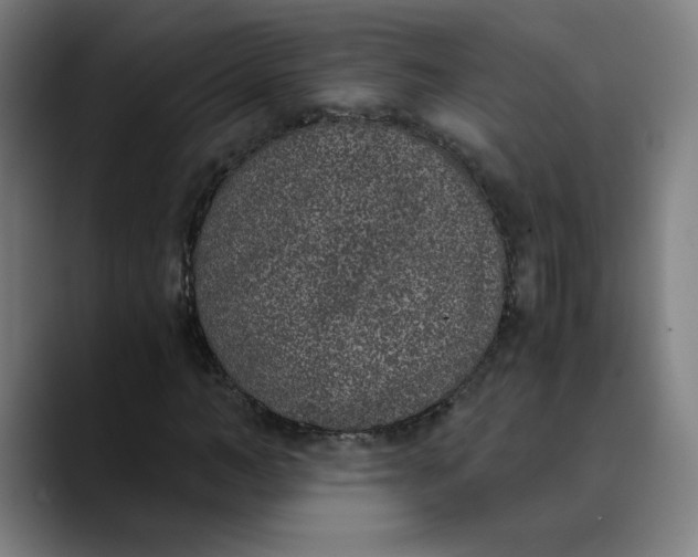 X0000089830966200707121638