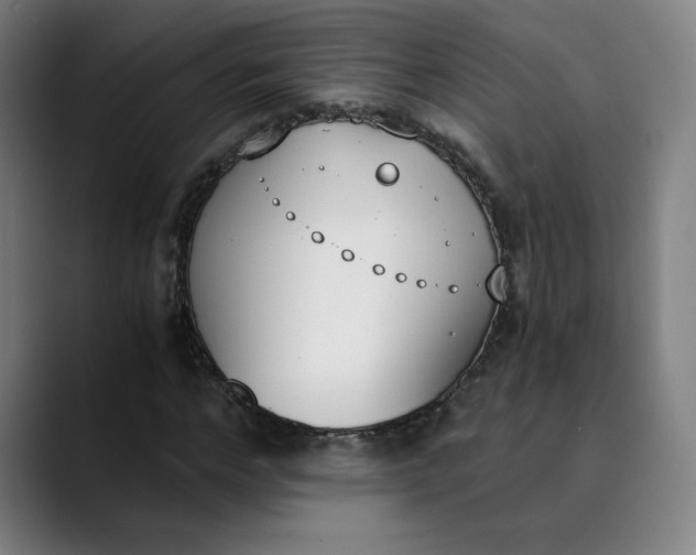 X0000089830968200707121638