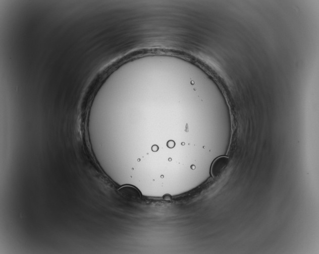 X0000089830974200707121638