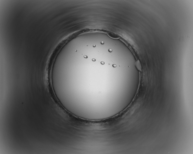 X0000089830976200707121638