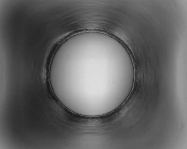 X0000089830979200707121638