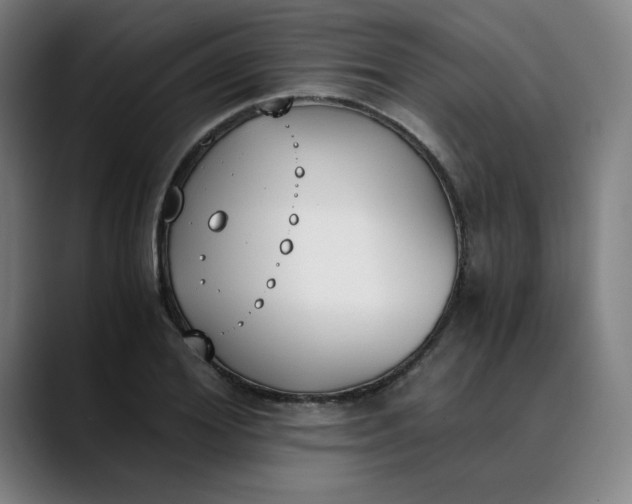 X0000089830980200707121638