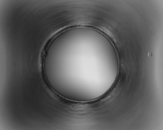 X0000089830981200707121638