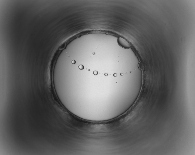 X0000089830982200707121637