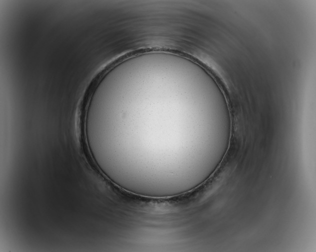 X0000089830983200707121637