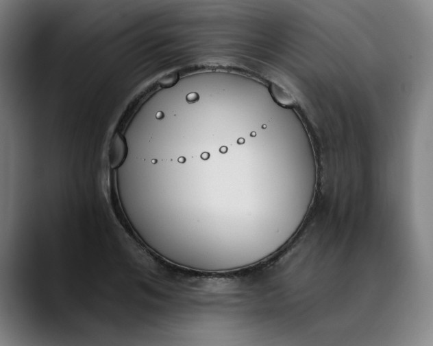 X0000089830984200707121637