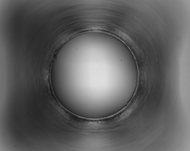 X0000089830985200707121637