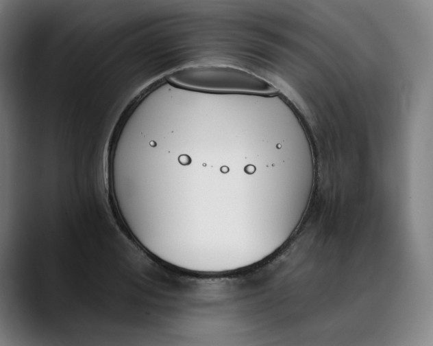 X0000089830988200707121637