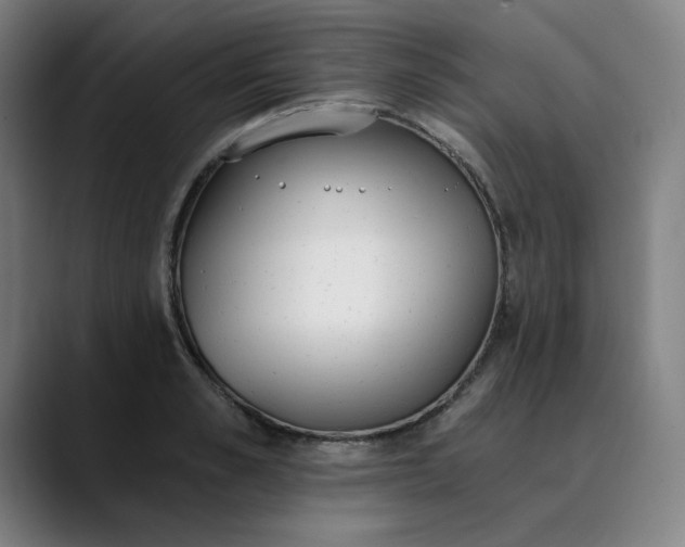 X0000089830989200707121637