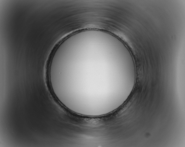 X0000089830991200707121637