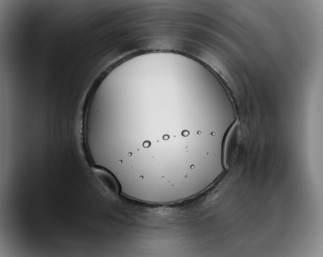 X0000089830992200707121637