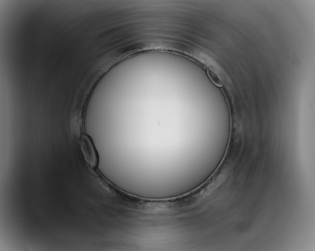 X0000089830993200707121637