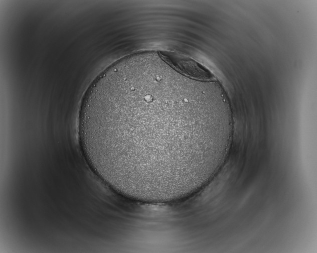 X0000089830994200707121637