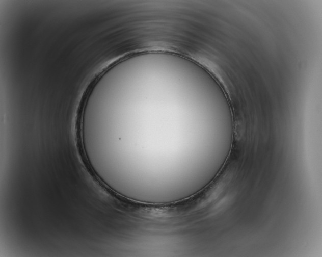 X0000089830995200707121637