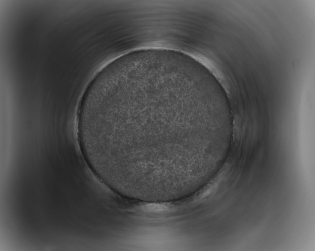 X0000089830998200707121637