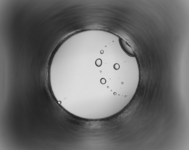 X0000089831000200707121637