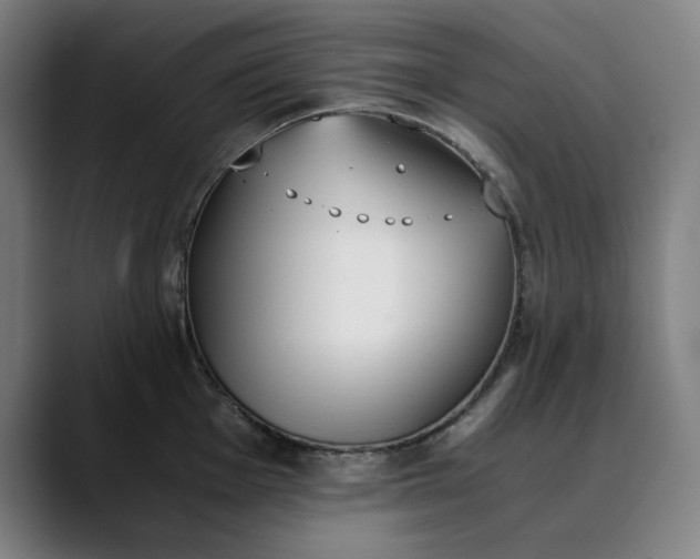 X0000089831001200707121637