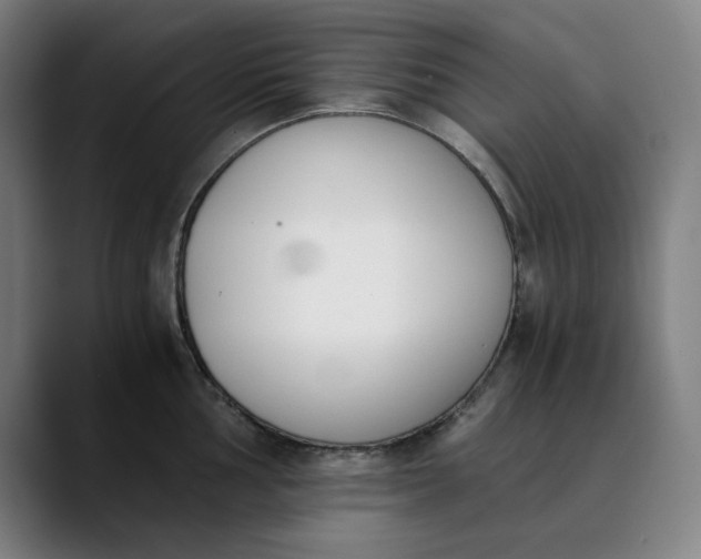 X0000089831002200707121637