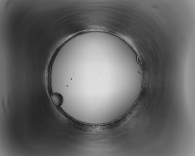 X0000089831003200707121637