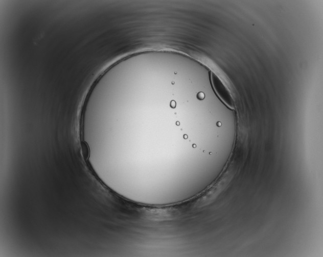 X0000089831004200707121637